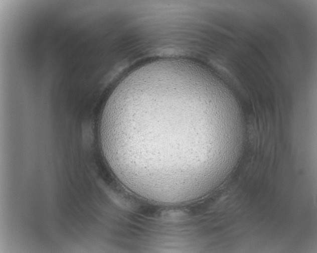 X0000063450208200602031816