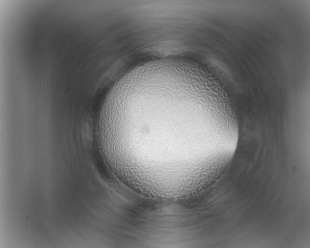 X0000063450210200602031816