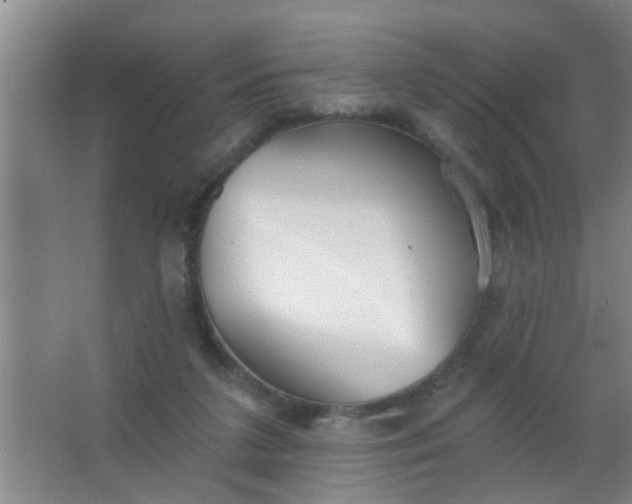 X0000063450211200602031816