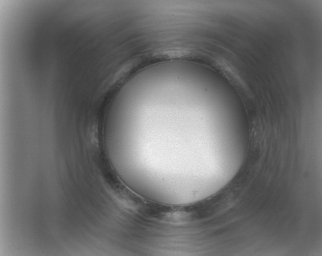 X0000063450212200602031816