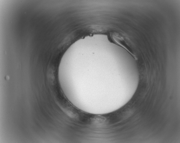 X0000063450215200602031816