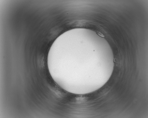 X0000063450216200602031816