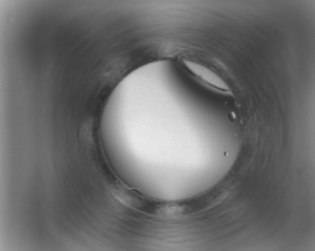 X0000063450217200602031816