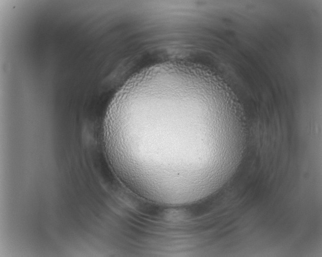 X0000063450218200602031816