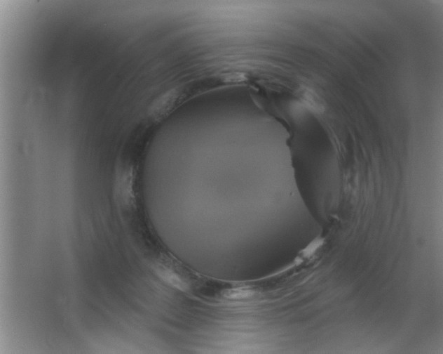 X0000063450219200602031816