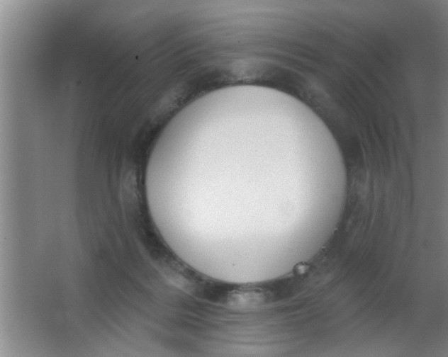 X0000063450220200602031816