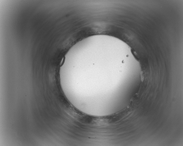 X0000063450221200602031816