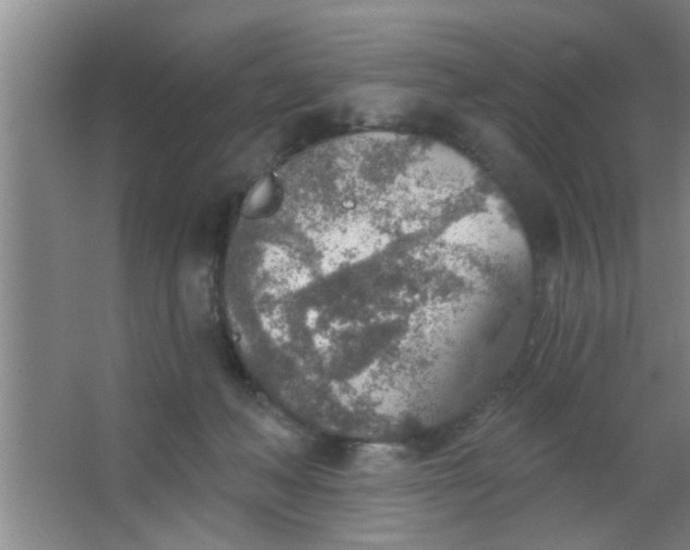 X0000063450222200602031816