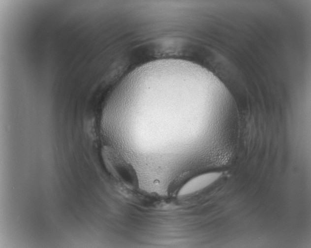 X0000063450224200602031816