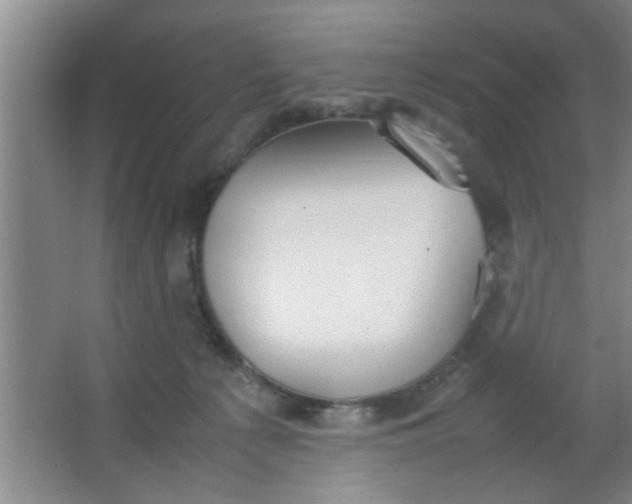 X0000063450225200602031816