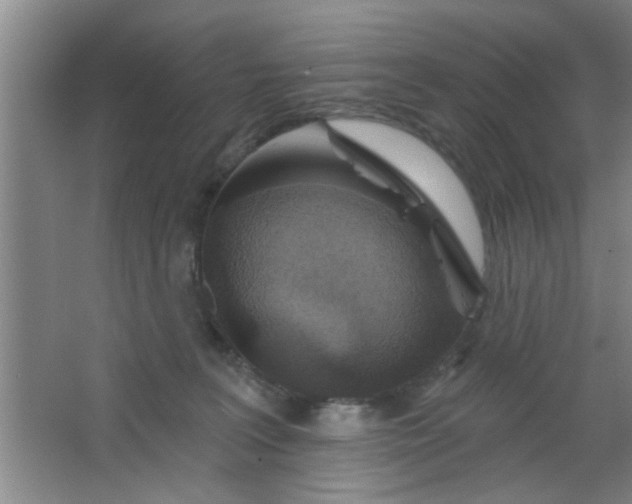 X0000063450227200602031816