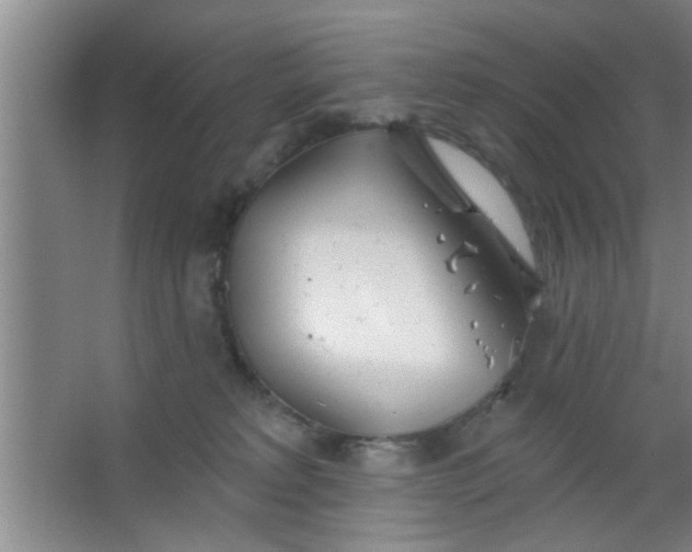 X0000063450229200602031816