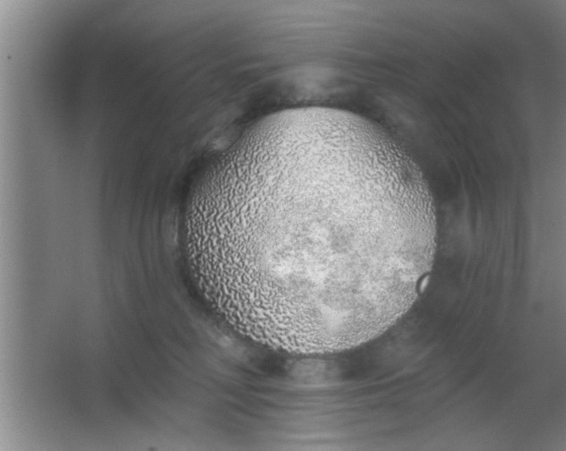 X0000063450230200602031816