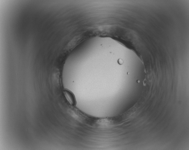 X0000063450231200602031816