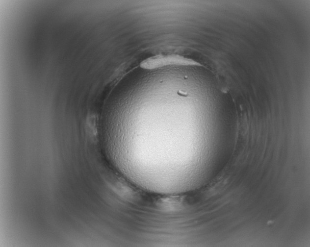 X0000063450232200602031816