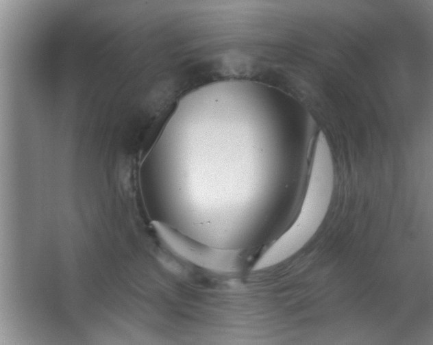 X0000063450233200602031816