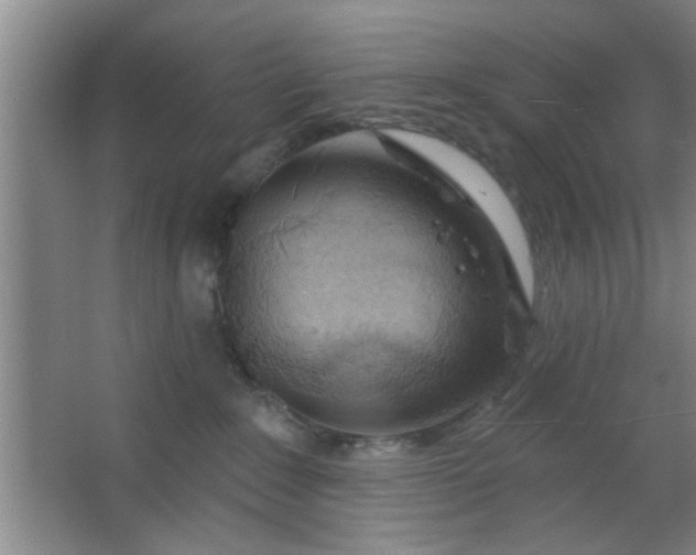 X0000063450235200602031816