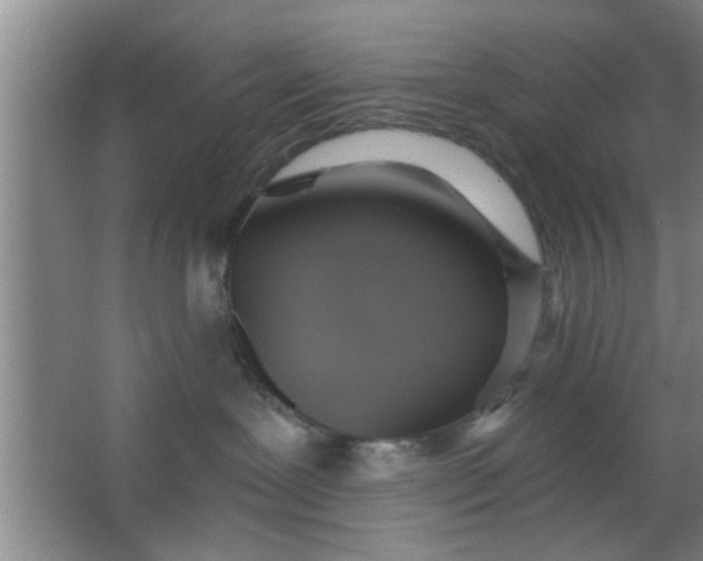 X0000063450239200602031816