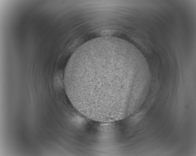 X0000063450240200602031816