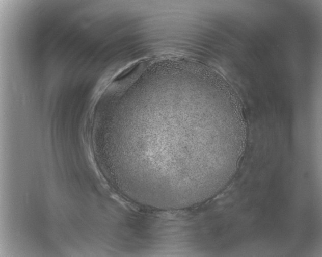 X0000063450241200602031815