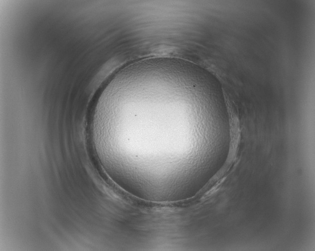 X0000063450242200602031815