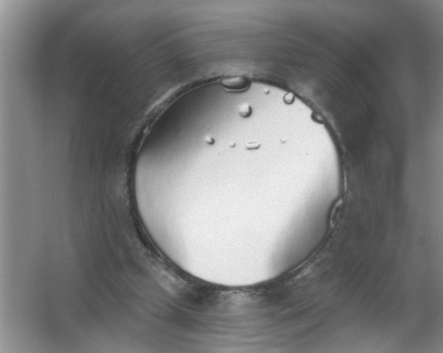 X0000063450249200602031815