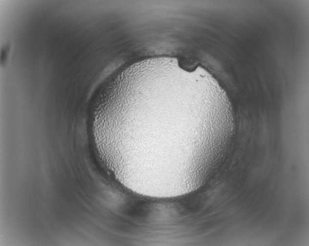 X0000063450250200602031815