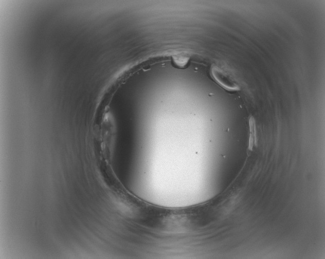 X0000063450252200602031815