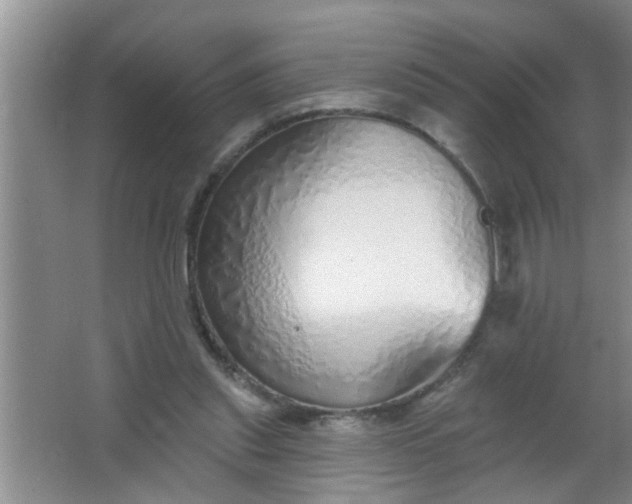 X0000063450253200602031815