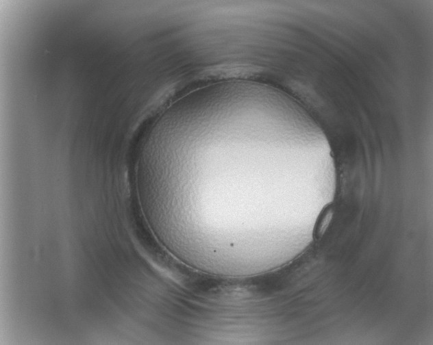 X0000063450254200602031815