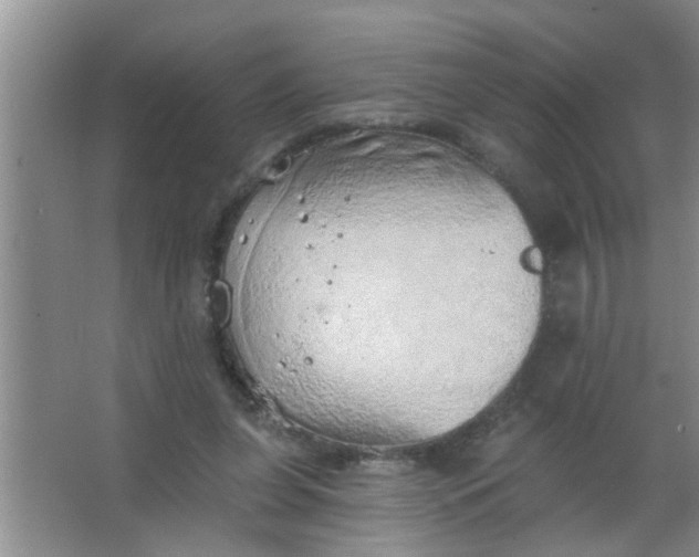 X0000063450255200602031815