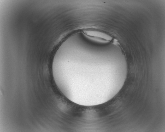 X0000063450256200602031815