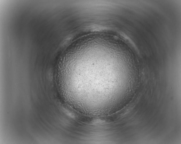 X0000063450257200602031815