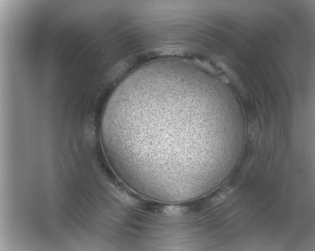 X0000063450261200602031815