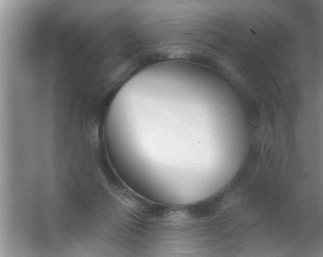 X0000063450262200602031815