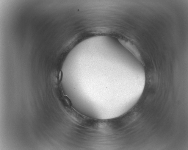 X0000063450264200602031815