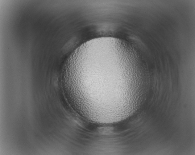 X0000063450266200602031815