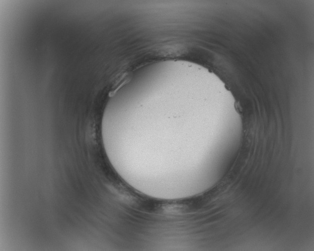 X0000063450268200602031815