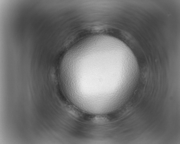 X0000063450270200602031815