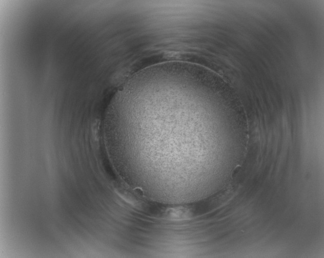 X0000063450275200602031816