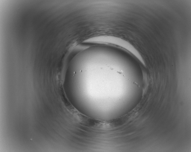 X0000063450276200602031816