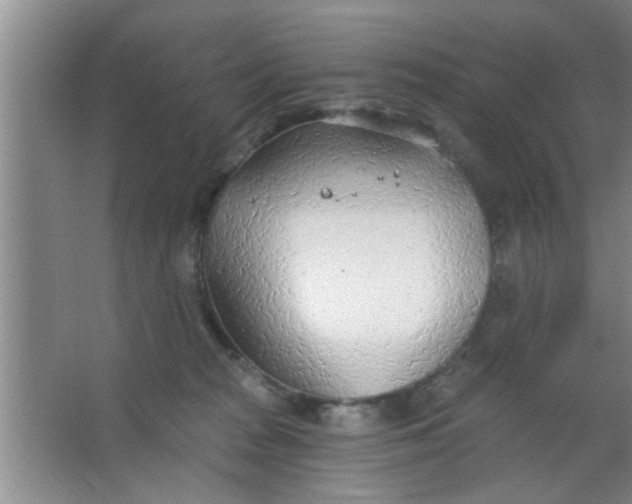 X0000063450277200602031816