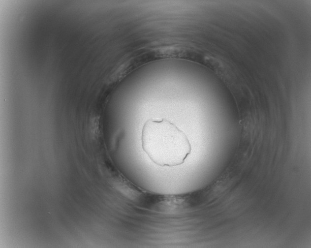 X0000063450278200602031816