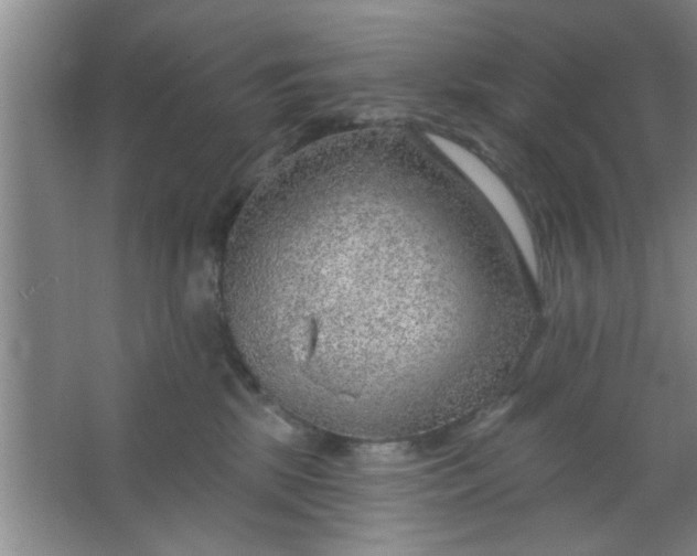 X0000063450281200602031816