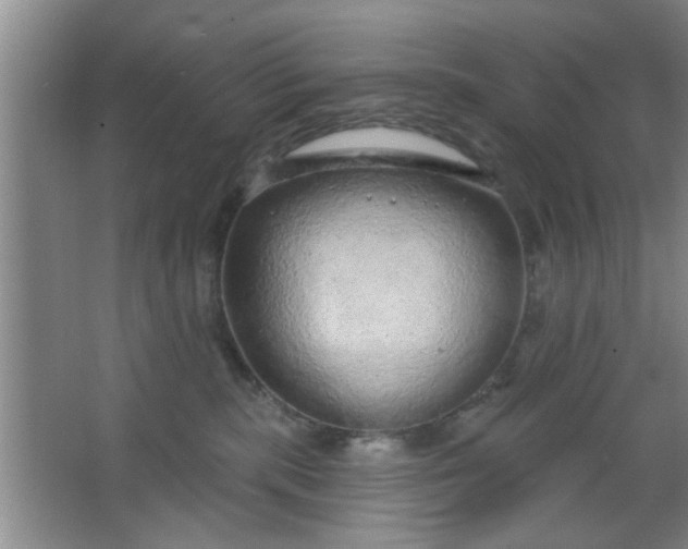 X0000063450283200602031816