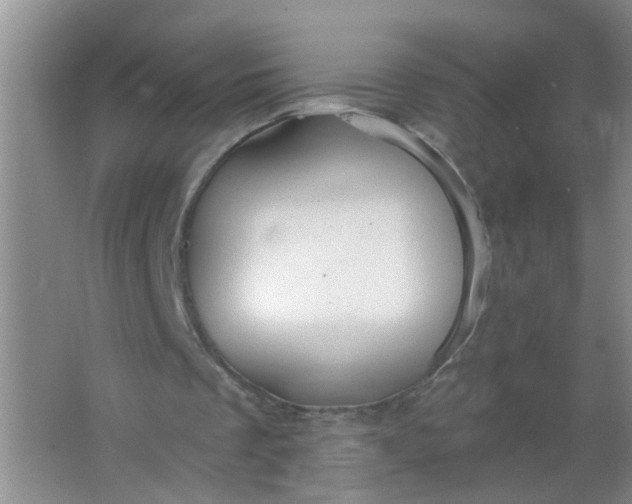 X0000063450289200602031815