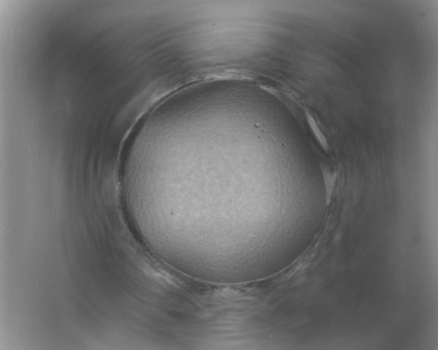 X0000063450290200602031815