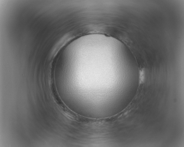 X0000063450291200602031815