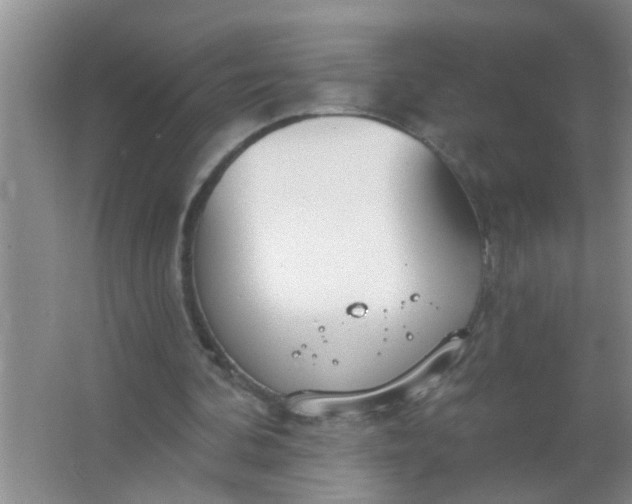 X0000063450292200602031815