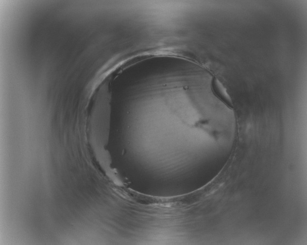 X0000063450295200602031815